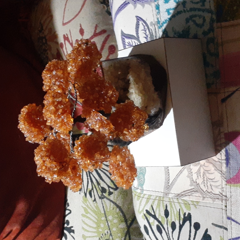 Citrine real gemstone plant